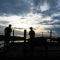 post-image
