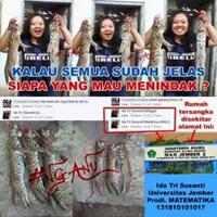 bangga-bunuh-kucing-hutan