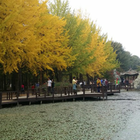 8-tempat-terbaik-yang-bisa-agan-kunjungi-ketika-musim-gugur-di-korea-keren-gan