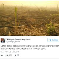 kabut-asap-di-palangkaraya