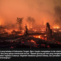 kehancuran-kesedihan-dan-harapan-foto-foto-kabut-asap-yang-menggugah