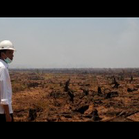 jokowi--butuh-waktu-3-tahun-atasi-kebakaran-hutan