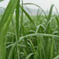 official-lounge-lenovo-vibe-shot-z90