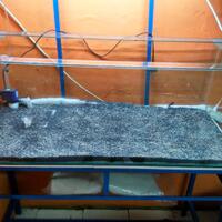 aquascape-for-everyone-learning-and-sharing---part-2