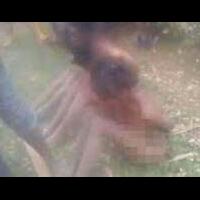dituduh-penyihir-4-wanita-ini-ditelanjangi-dan-dibakar