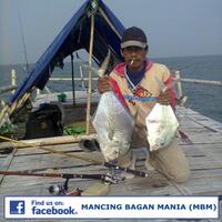 mancing-bagan-mania