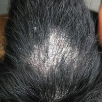 konsultasi-masalah-kesehatan--penyakit-hewan-kesayangan---part-2