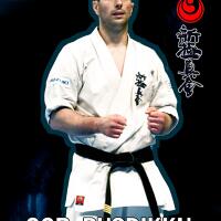 kyokushin-karate-26997304953135425163
