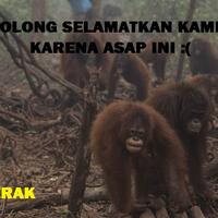 bebaskan-indonesia-dari-bencana-asap-mar16erak-dengan-berkarya