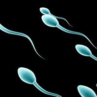 perusahaan-denmark-ekspor-sperma-harga-15jt-botolpeminatnya-wanita-lajang