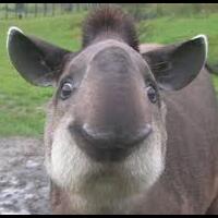 muhammadiyah-kritik-umat-islam-yang-suka-mengkafirkan-dan-tanamkan-kebencian