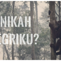 bebaskan-indonesia-dari-bencana-asap-mar16erak-dengan-berkarya