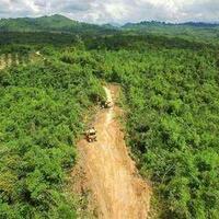 jokowi-bangun-trans-papua-4000-km-dan-perbatasan-kalimantan-1670-km