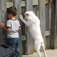 minta-kenal-pasti-gadis-jav-ini