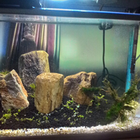 aquascape-for-everyone-learning-and-sharing---part-2