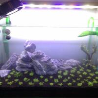 aquascape-for-everyone-learning-and-sharing---part-2