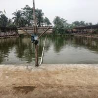 cingreng-patin-kfc-edisi-ketek-ngebul-13-des-2015