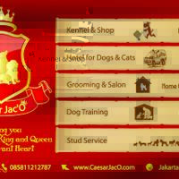 testimonial-caesar-jac-o-kennel---petshop---services