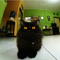 post-image