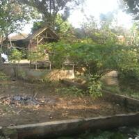 kampung-anggur----part-3