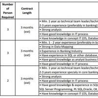 it-technical-project-support--it-system-analyst--it-application-support