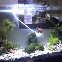 kebutuhan-aquascape-nano