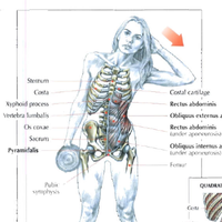 punya-pertanyaan-umum-seputar-fitness--tanya-disini---part-1