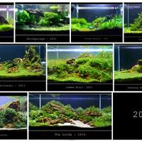 aquascape-for-everyone-learning-and-sharing---part-2