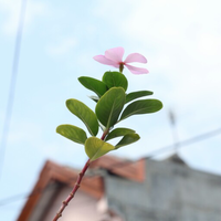 post-image
