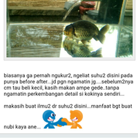 maskoki-ngomongin-semuanya-ttg-maskoki-yuk---part-5