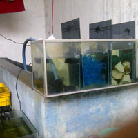 maskoki-ngomongin-semuanya-ttg-maskoki-yuk---part-5