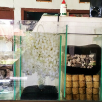 maskoki-ngomongin-semuanya-ttg-maskoki-yuk---part-5