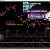 belajar-trading-forex