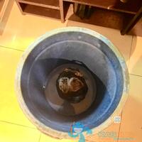 post-image