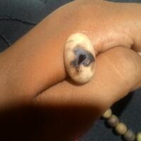 misteri-combong--kayu-batu-besi-yang-berlobang