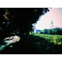 nongkrong-bareng-street--urban-photography