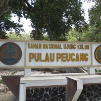 jalan-jalan-sambil-mengenal-taman-nasional-ujung-kulon