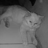 post-image