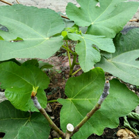 post-image