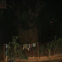 post-image