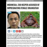 walah-media-asing-beritakan-orang-utan-di-surabaya-dihamili-petugas-kebun-binatang