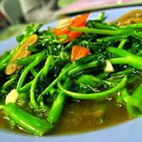 mari-menanam-kangkung