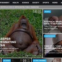 lagi-heboh-di-media-luar-orang-hutan-di-hamilin-petugas-kebun-binatang-surabaya