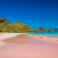 unikinilah-keindahan-2-pantai-berpasir-pink-yang-ada-di-indonesia