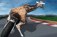 board-game-res-grand-prix-championship---season-3