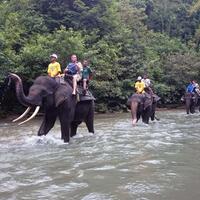 mau-mandiin-dan-dimandiin-gajah-di-sini-tempatnya-gan