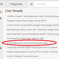 5-cara-memahami-kucing-kesayangan-agan