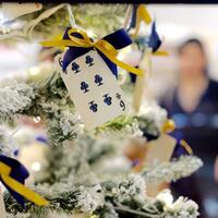 kavling-fujifilm---part-4