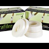 kampung-anggur----part-3