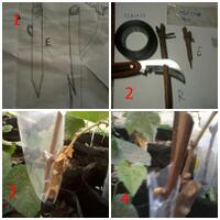 kampung-anggur----part-3